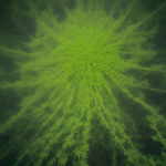 Sistem POS Digital Terpadu untuk Pengelolaan Transaksi dan Laporan Penjualan yang Lebih Akurat image-24